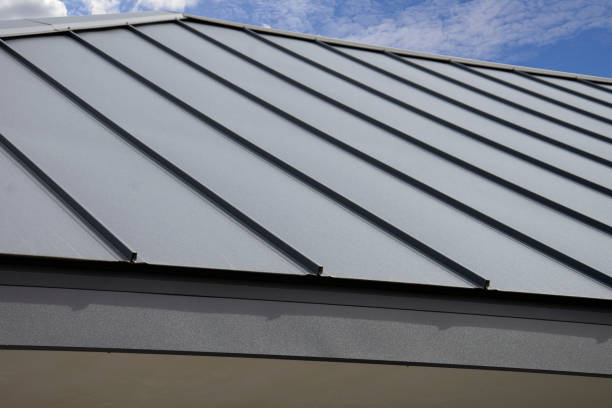 Best Skylight Installation and Repair  in Ridley Rk, PA